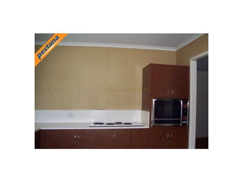 19 Hawdon Crescent, Springwood QLD 4127