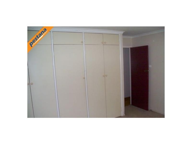 19 Hawdon Crescent, Springwood QLD 4127