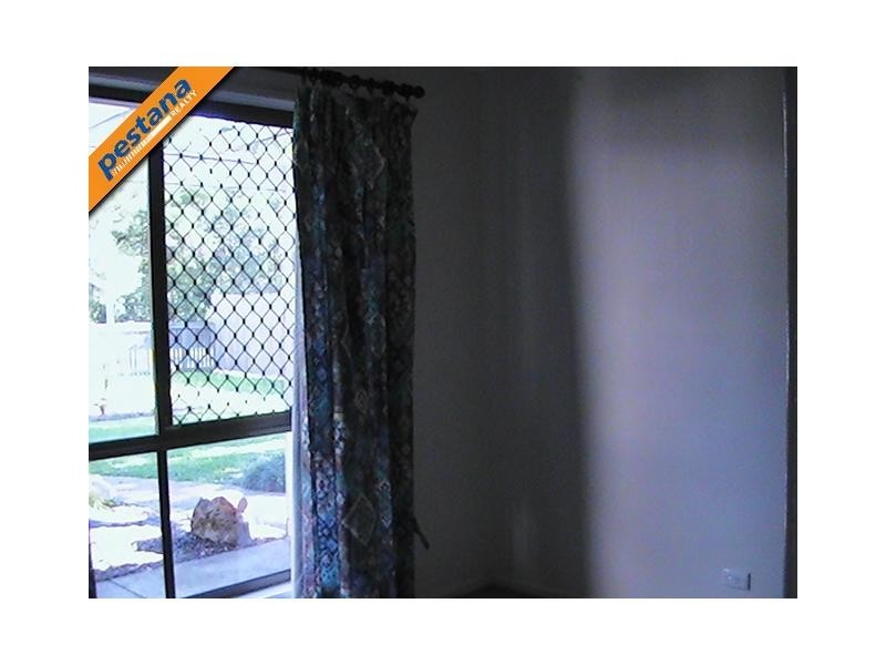 15 Lilac Street, Daisy Hill QLD 4127