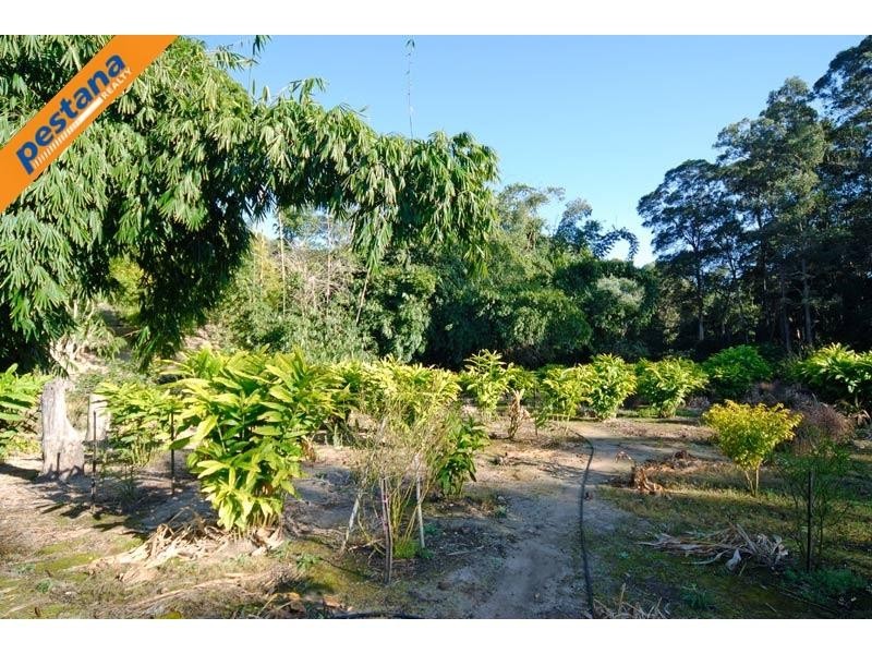 202 Thomsons Road, Kingsholme QLD 4208