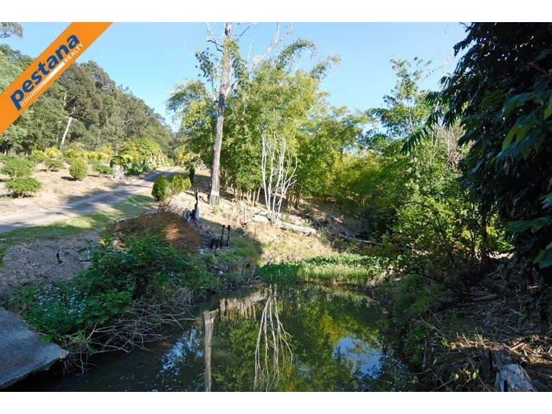 202 Thomsons Road, Kingsholme QLD 4208