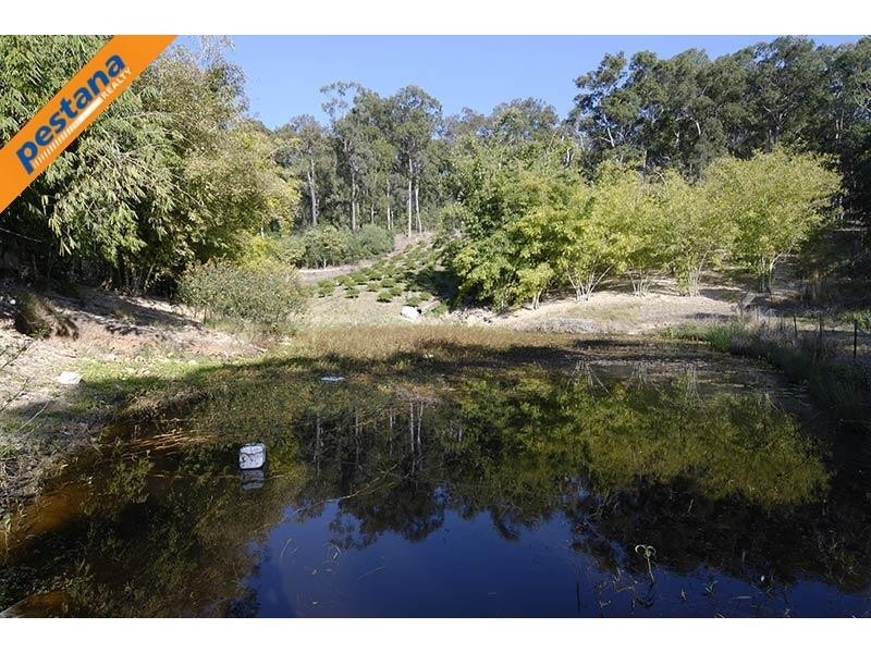 202 Thomsons Road, Kingsholme QLD 4208