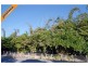 202 Thomsons Road, Kingsholme QLD 4208