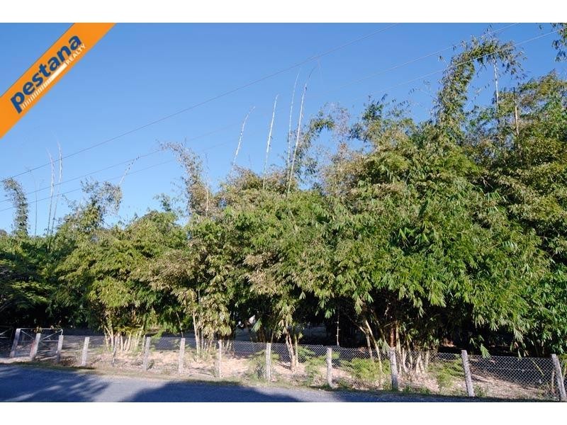 202 Thomsons Road, Kingsholme QLD 4208