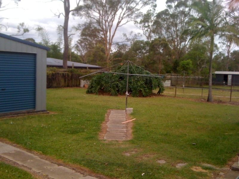 12 Caesar Street, Kingston QLD 4114