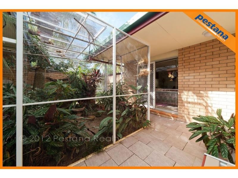 6 Delilah Street, Springwood QLD 4127
