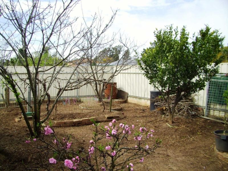 6 Fyfield Street, Elizabeth SA 5112