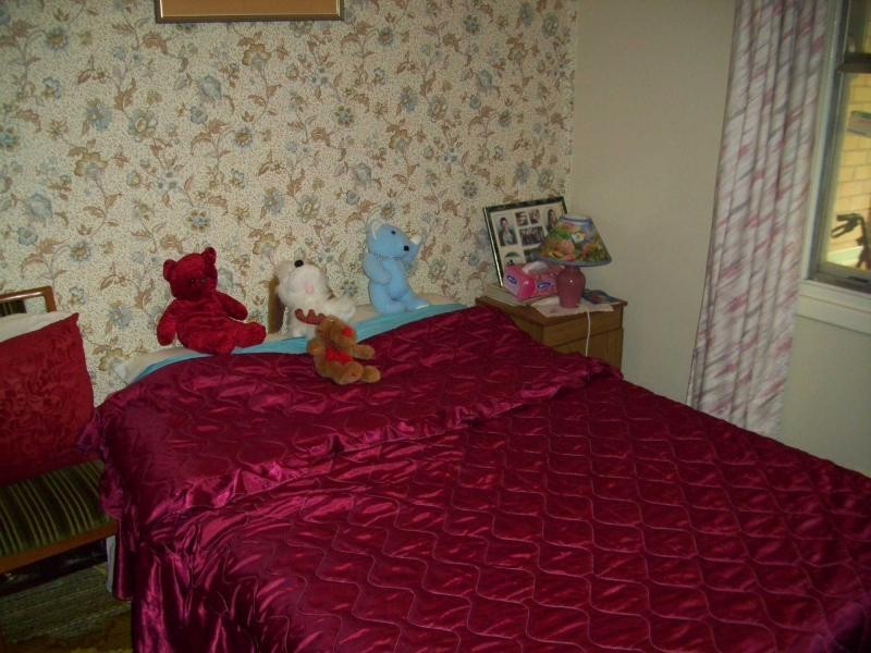 45 Peacock Road, Elizabeth Downs SA 5113