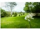 40 Tyringham Road, Dorrigo NSW 2453