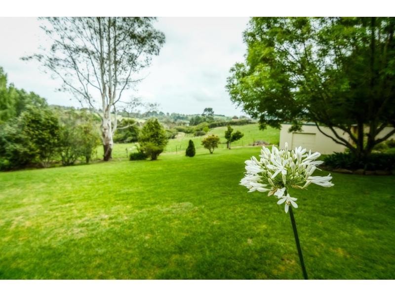 40 Tyringham Road, Dorrigo NSW 2453