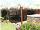 5 Tamarind Avenue, Dorrigo NSW 2453