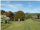 5 Tamarind Avenue, Dorrigo NSW 2453