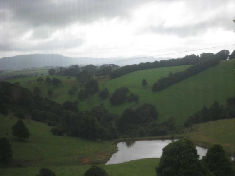 4948 Waterfall Way, Dorrigo NSW 2453