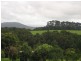 4948 Waterfall Way, Dorrigo NSW 2453