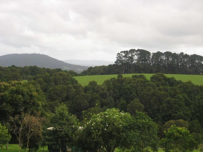 4948 Waterfall Way, Dorrigo NSW 2453