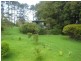 4948 Waterfall Way, Dorrigo NSW 2453