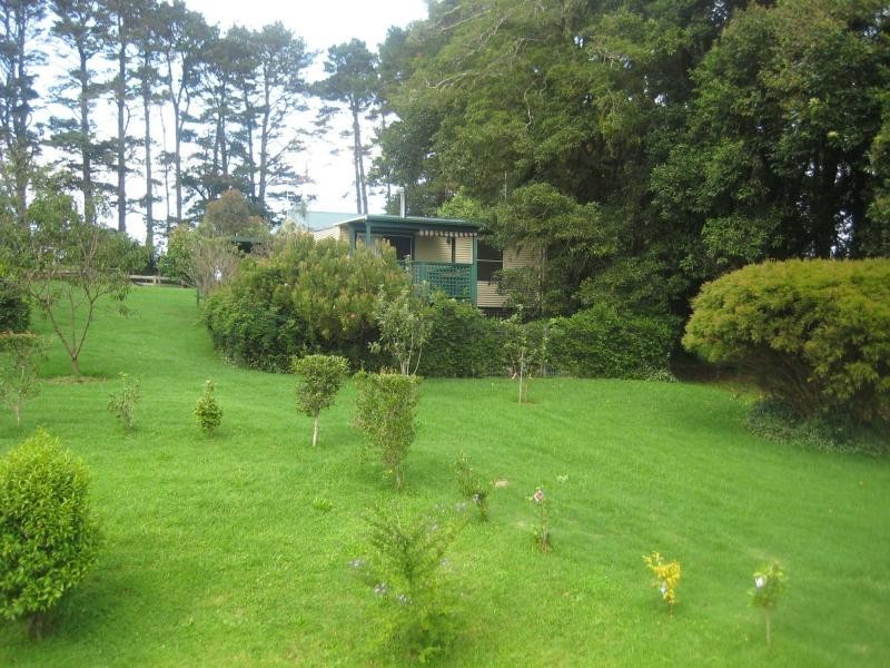 4948 Waterfall Way, Dorrigo NSW 2453