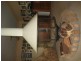 4948 Waterfall Way, Dorrigo NSW 2453