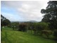 4948 Waterfall Way, Dorrigo NSW 2453