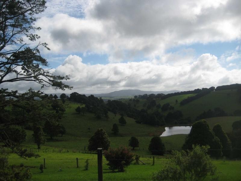 4948 Waterfall Way, Dorrigo NSW 2453