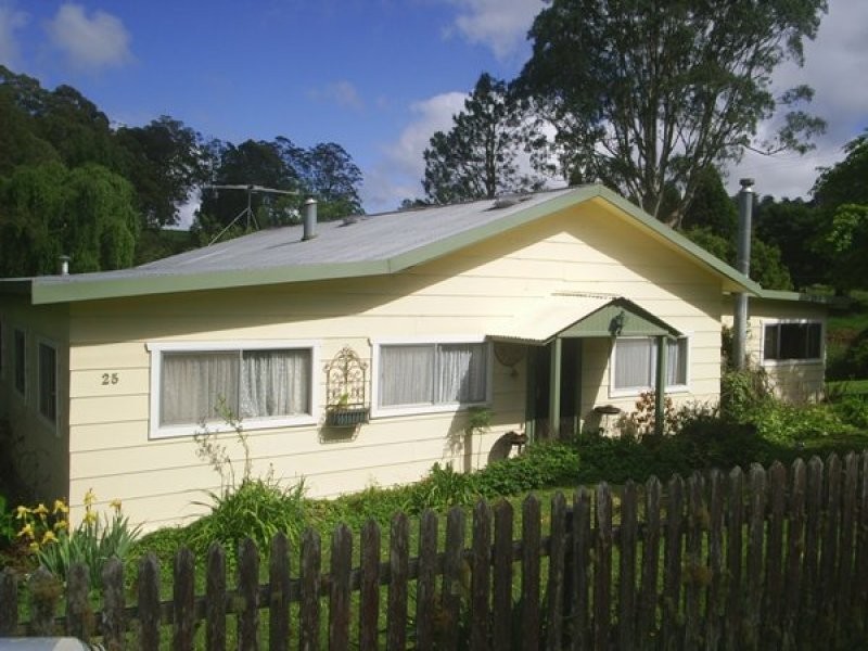 25 Richards Road, Dorrigo NSW 2453