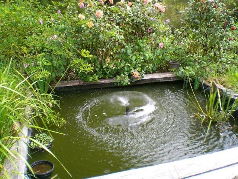 25 Richards Road, Dorrigo NSW 2453