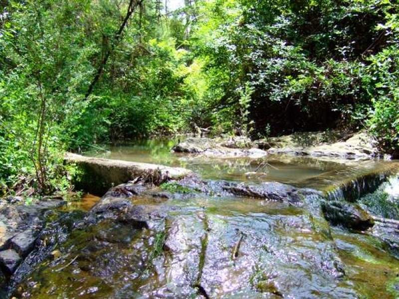 25 Richards Road, Dorrigo NSW 2453