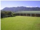 2209 Waterfall Way, Bellingen NSW 2454