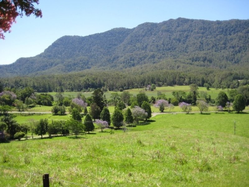 2209 Waterfall Way, Bellingen NSW 2454