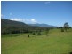 2209 Waterfall Way, Bellingen NSW 2454