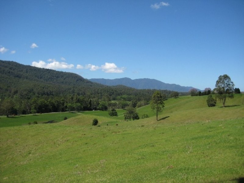 2209 Waterfall Way, Bellingen NSW 2454