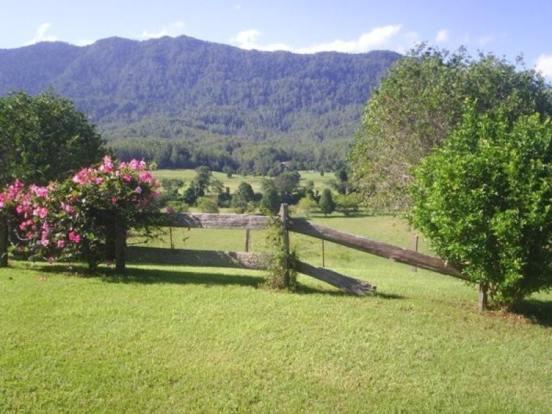 2209 Waterfall Way, Bellingen NSW 2454