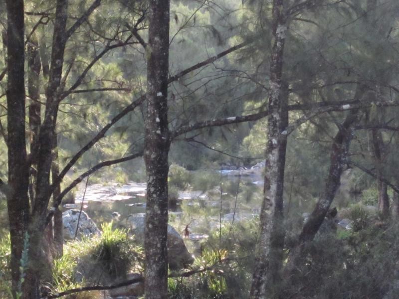 8269 Armidale Road, Tyringham NSW 2453