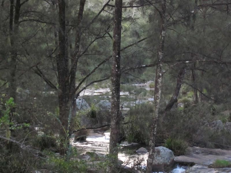 8269 Armidale Road, Tyringham NSW 2453