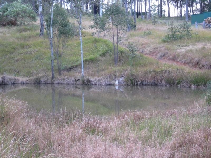 8269 Armidale Road, Tyringham NSW 2453