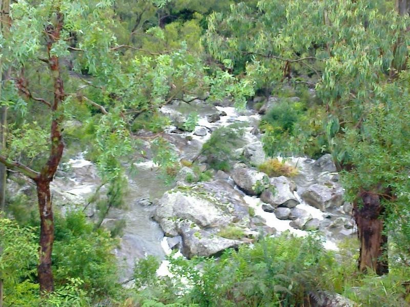 1715 Tyringham Road, Dorrigo NSW 2453