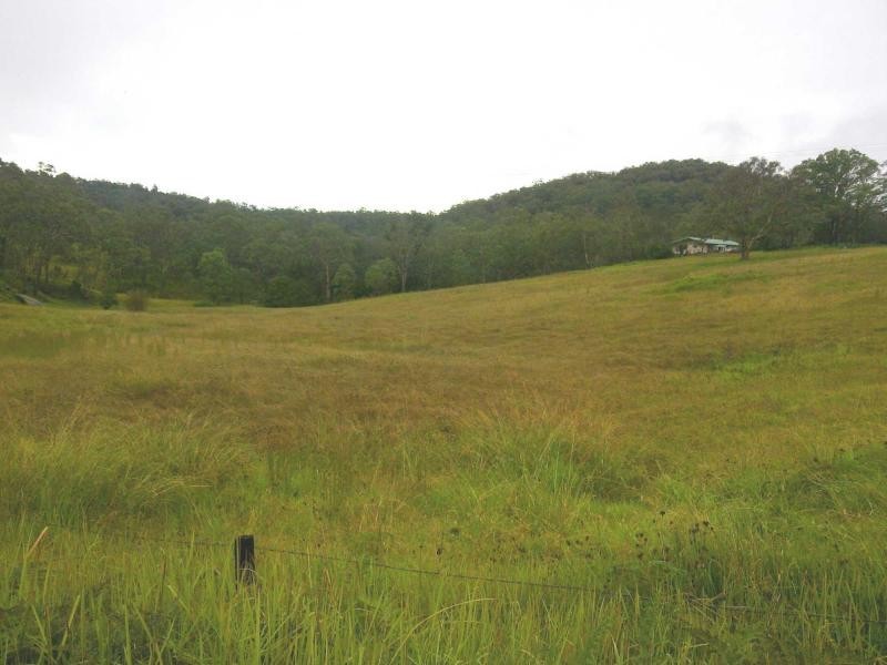 1715 Tyringham Road, Dorrigo NSW 2453