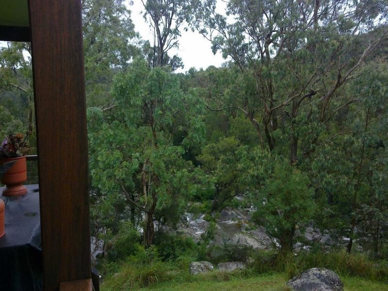 1715 Tyringham Road, Dorrigo NSW 2453