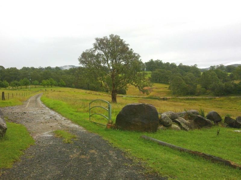 1715 Tyringham Road, Dorrigo NSW 2453