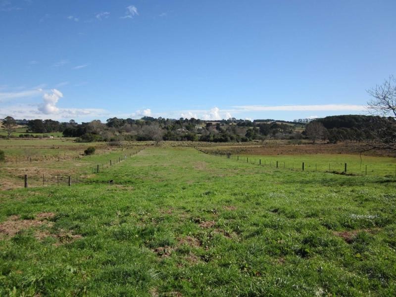 L1 Whisky Creek Road, Dorrigo NSW 2453