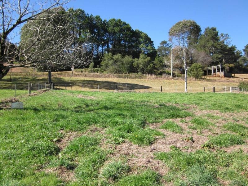 L1 Whisky Creek Road, Dorrigo NSW 2453