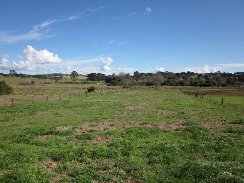 L1 Whisky Creek Road, Dorrigo NSW 2453