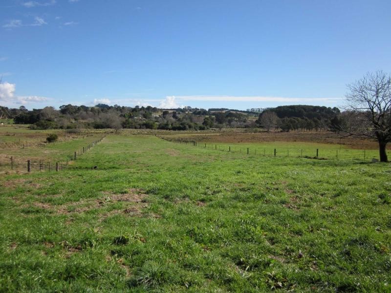 L1 Whisky Creek Road, Dorrigo NSW 2453