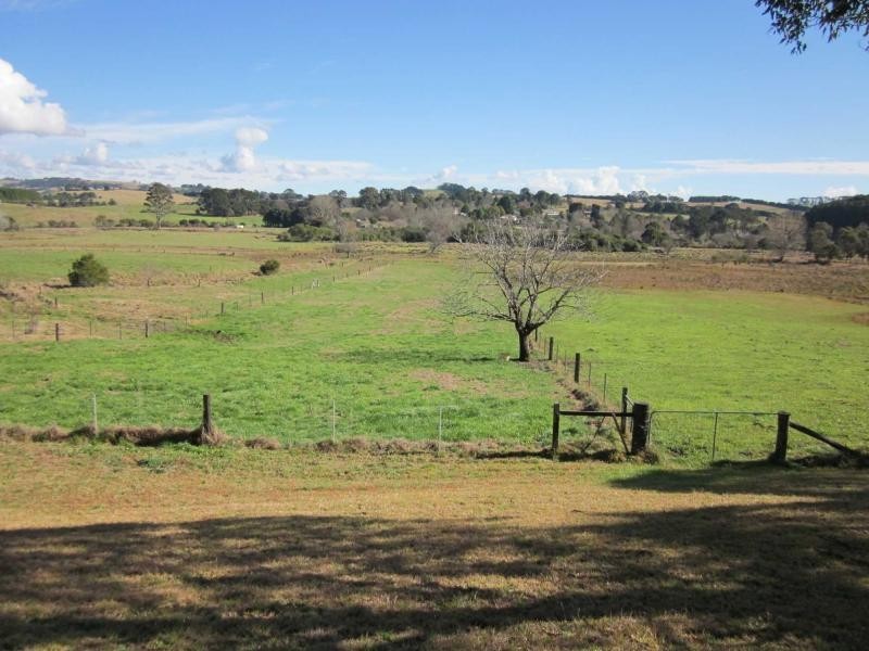 L1 Whisky Creek Road, Dorrigo NSW 2453