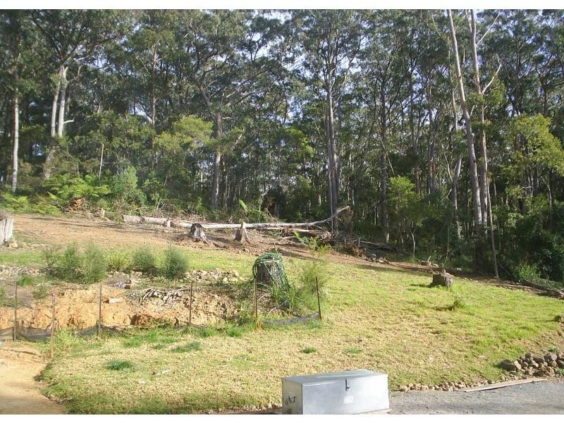 7898 Armidale Road, Billys Creek NSW 2453