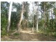 7898 Armidale Road, Billys Creek NSW 2453
