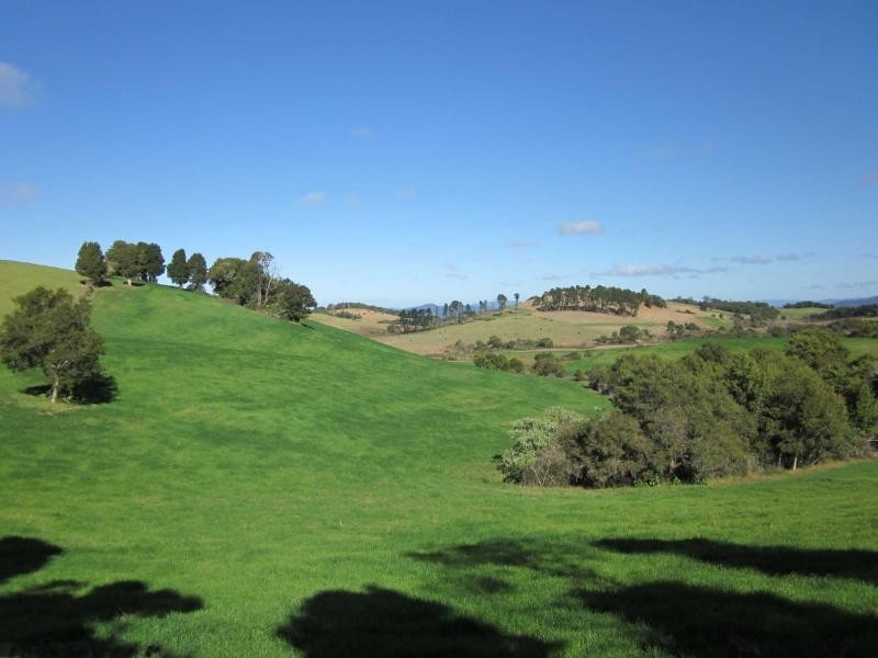 500 Rocky Creek Road, Dorrigo NSW 2453