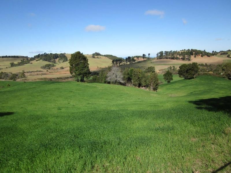 500 Rocky Creek Road, Dorrigo NSW 2453