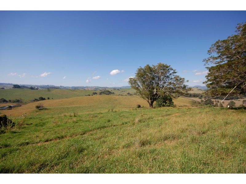 500 Rocky Creek Road, Dorrigo NSW 2453