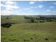 500 Rocky Creek Road, Dorrigo NSW 2453